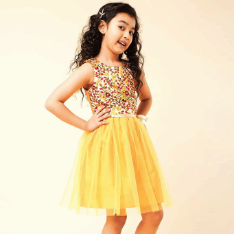 Girls Fancy Dresses